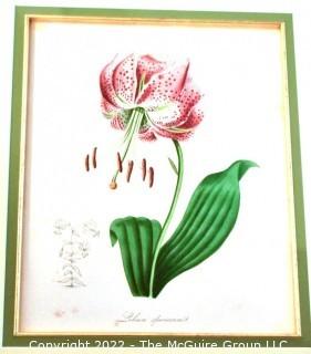 Seven (7) Framed Under Glass Hand Colored Botanical Flower Lithographs. Each measure 16" X 18".