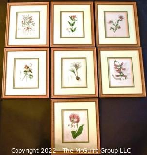 Seven (7) Framed Under Glass Hand Colored Botanical Flower Lithographs. Each measure 16" X 18".