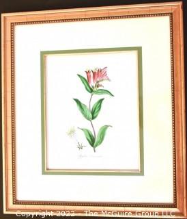 Seven (7) Framed Under Glass Hand Colored Botanical Flower Lithographs. Each measure 16" X 18".