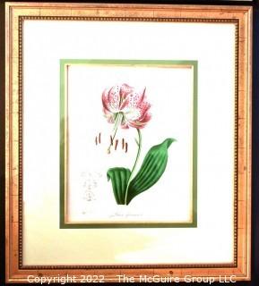 Seven (7) Framed Under Glass Hand Colored Botanical Flower Lithographs. Each measure 16" X 18".