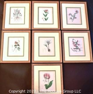 Seven (7) Framed Under Glass Hand Colored Botanical Flower Lithographs. Each measure 16" X 18".