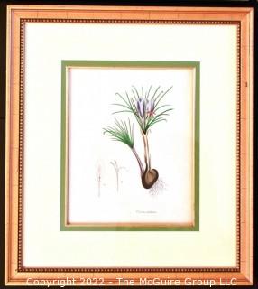 Seven (7) Framed Under Glass Hand Colored Botanical Flower Lithographs. Each measure 16" X 18".