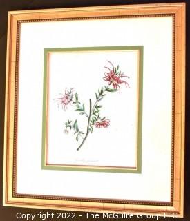 Seven (7) Framed Under Glass Hand Colored Botanical Flower Lithographs. Each measure 16" X 18".