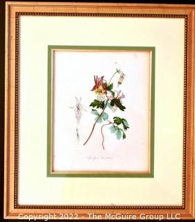 Seven (7) Framed Under Glass Hand Colored Botanical Flower Lithographs. Each measure 16" X 18".