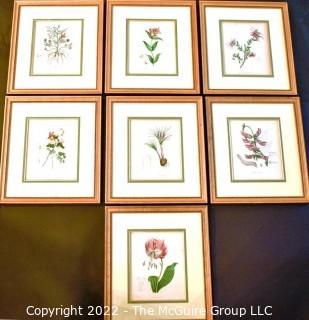 Seven (7) Framed Under Glass Hand Colored Botanical Flower Lithographs. Each measure 16" X 18".