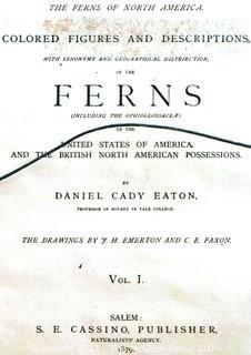 Set Of Seven (7) Framed Under Glass Colored Lithographs From “The Ferns Of N. America” By Daniel Cady Eaton, 1877.  Each Measure 15” X 18”.