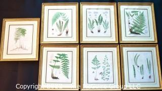 Set Of Seven (7) Framed Under Glass Colored Lithographs From “The Ferns Of N. America” By Daniel Cady Eaton, 1877.  Each Measure 15” X 18”.