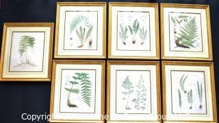 Set Of Seven (7) Framed Under Glass Colored Lithographs From “The Ferns Of N. America” By Daniel Cady Eaton, 1877.  Each Measure 15” X 18”.