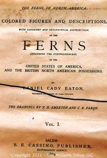 Set Of Seven (7) Framed Under Glass Colored Lithographs From “The Ferns Of N. America” By Daniel Cady Eaton, 1877.  Each Measure 15” X 18”.