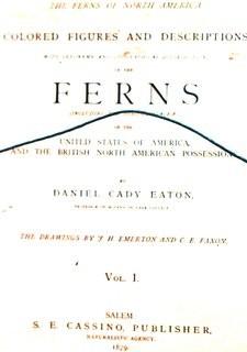 Set Of Seven (7) Framed Under Glass Colored Lithographs From “The Ferns Of N. America” By Daniel Cady Eaton, 1877.  Each Measure 15” X 18”.