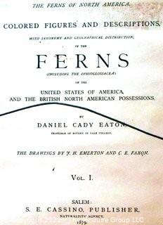 Set Of Seven (7) Framed Under Glass Colored Lithographs From “The Ferns Of N. America” By Daniel Cady Eaton, 1877.  Each Measure 15” X 18”.
