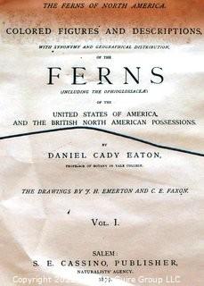 Set Of Seven (7) Framed Under Glass Colored Lithographs From “The Ferns Of N. America” By Daniel Cady Eaton, 1877.  Each Measure 15” X 18”.