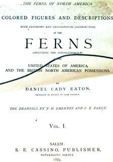 Set Of Seven (7) Framed Under Glass Colored Lithographs From “The Ferns Of N. America” By Daniel Cady Eaton, 1877.  Each Measure 15” X 18”.