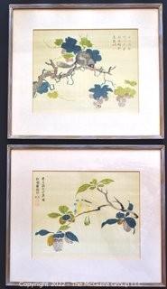 Two (2) Framed Under Glass Chinese Gouache Watercolor Paintings on Silk Of Birds And Branches With Chopmarks.  Measures 17 X 15"
