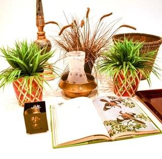 Group Of Decorative Items Including Mother Of Pearl Inlaid Tray, Tole Painted Planters And Faux Plants.