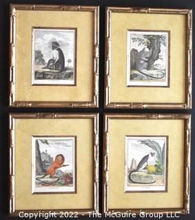 Set of Four (4) Framed Under Glass Colored Engravings of Monkeys by Christian Friedrich Fritzsch (1719-1774).  Each measure 14" x 16".