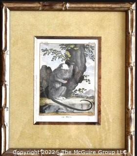 Set of Four (4) Framed Under Glass Colored Engravings of Monkeys by Christian Friedrich Fritzsch (1719-1774).  Each measure 14" x 16".