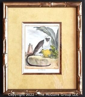 Set of Four (4) Framed Under Glass Colored Engravings of Monkeys by Christian Friedrich Fritzsch (1719-1774).  Each measure 14" x 16".