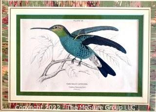 Six (6) Framed Under Glass Hand Colored Engravings of Humming Birds by William Lizars.  Each 12” X 14".