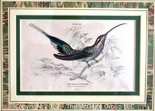 Six (6) Framed Under Glass Hand Colored Engravings of Humming Birds by William Lizars.  Each 12” X 14".