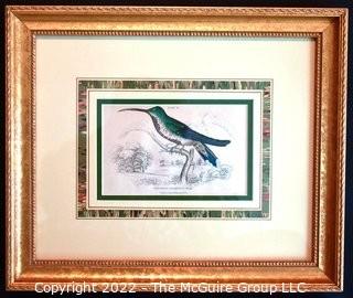 Six (6) Framed Under Glass Hand Colored Engravings of Humming Birds by William Lizars.  Each 12” X 14".