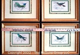 Six (6) Framed Under Glass Hand Colored Engravings of Humming Birds by William Lizars.  Each 12” X 14".