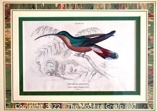 Six (6) Framed Under Glass Hand Colored Engravings of Humming Birds by William Lizars.  Each 12” X 14".