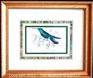 Six (6) Framed Under Glass Hand Colored Engravings of Humming Birds by William Lizars.  Each 12” X 14".