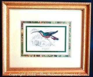 Six (6) Framed Under Glass Hand Colored Engravings of Humming Birds by William Lizars.  Each 12” X 14".