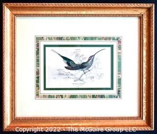 Six (6) Framed Under Glass Hand Colored Engravings of Humming Birds by William Lizars.  Each 12” X 14".