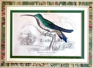 Six (6) Framed Under Glass Hand Colored Engravings of Humming Birds by William Lizars.  Each 12” X 14".