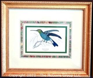 Six (6) Framed Under Glass Hand Colored Engravings of Humming Birds by William Lizars.  Each 12” X 14".