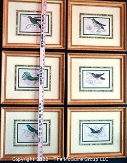 Six (6) Framed Under Glass Hand Colored Engravings of Humming Birds by William Lizars.  Each 12” X 14".