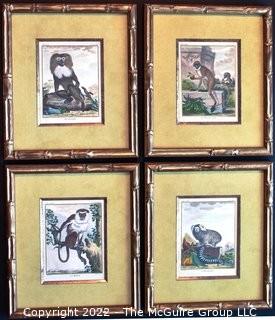 Set of Four (4) Framed Under Glass Colored Engravings of Monkeys by Christian Friedrich Fritzsch (1719-1774). Each measure 14" x 16".