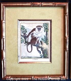 Set of Four (4) Framed Under Glass Colored Engravings of Monkeys by Christian Friedrich Fritzsch (1719-1774). Each measure 14" x 16".