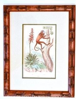 Two (2) Framed Under Glass Hand Colored Engravings of Monkeys By Richard Paris  From Dictionnaire Universel D’histoire Naturelle 1835.  Measures 13” x 18”.  