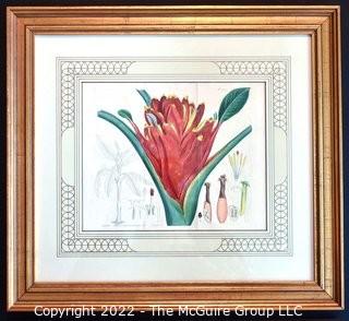 Two (2) Framed Under Glass Botanical Hand Colored Lithographs. Each Measures 16" X 17".