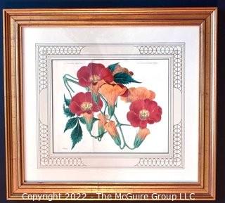 Two (2) Framed Under Glass Botanical Hand Colored Lithographs. Each Measures 16" X 17".