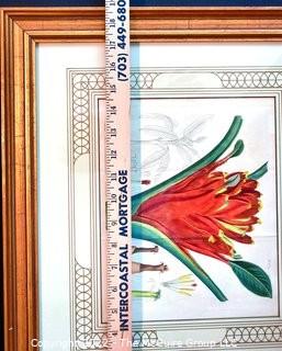 Two (2) Framed Under Glass Botanical Hand Colored Lithographs. Each Measures 16" X 17".