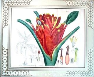 Two (2) Framed Under Glass Botanical Hand Colored Lithographs. Each Measures 16" X 17".