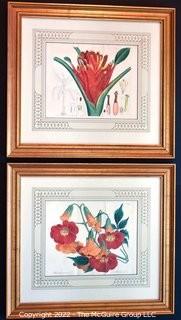 Two (2) Framed Under Glass Botanical Hand Colored Lithographs. Each Measures 16" X 17".