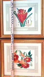 Two (2) Framed Under Glass Botanical Hand Colored Lithographs. Each Measures 16" X 17".