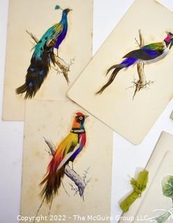 Collection of Vintage Greeting Cards Including Postcards Made with Real Feathers. 
