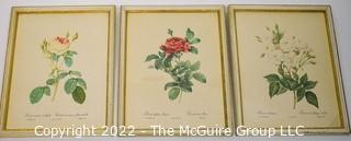 Set of Three (3) Framed Under Glass Floral Prints.  Each Measures 8" x 10".