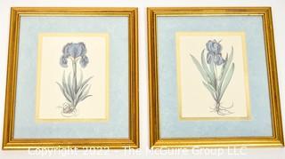 Two (2) Framed Under Glass Prints of Irises 