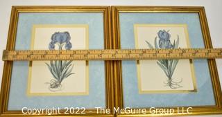 Two (2) Framed Under Glass Prints of Irises 