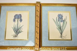 Two (2) Framed Under Glass Prints of Irises 