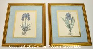 Two (2) Framed Under Glass Prints of Irises 