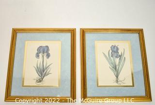 Two (2) Framed Under Glass Prints of Irises 