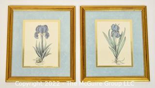 Two (2) Framed Under Glass Prints of Irises 